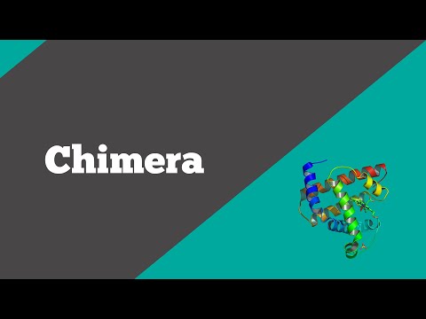 Bioinformatics: Chimera | How to visualize and analyze molecular structures | BioCode Ltd