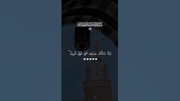الا بذكر الله تطمئن القلوب #القرآن_الكريم#راحة_نفسية #القرآن_حياه #تلاوة_خاشعة