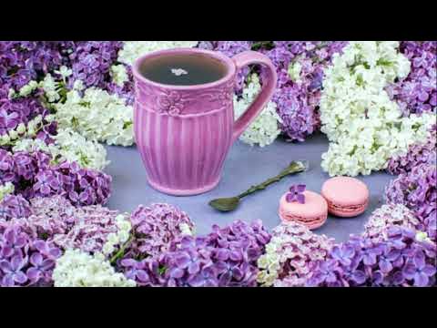 Ароматный чай из цветков сирени | Чай своими руками - YouTube