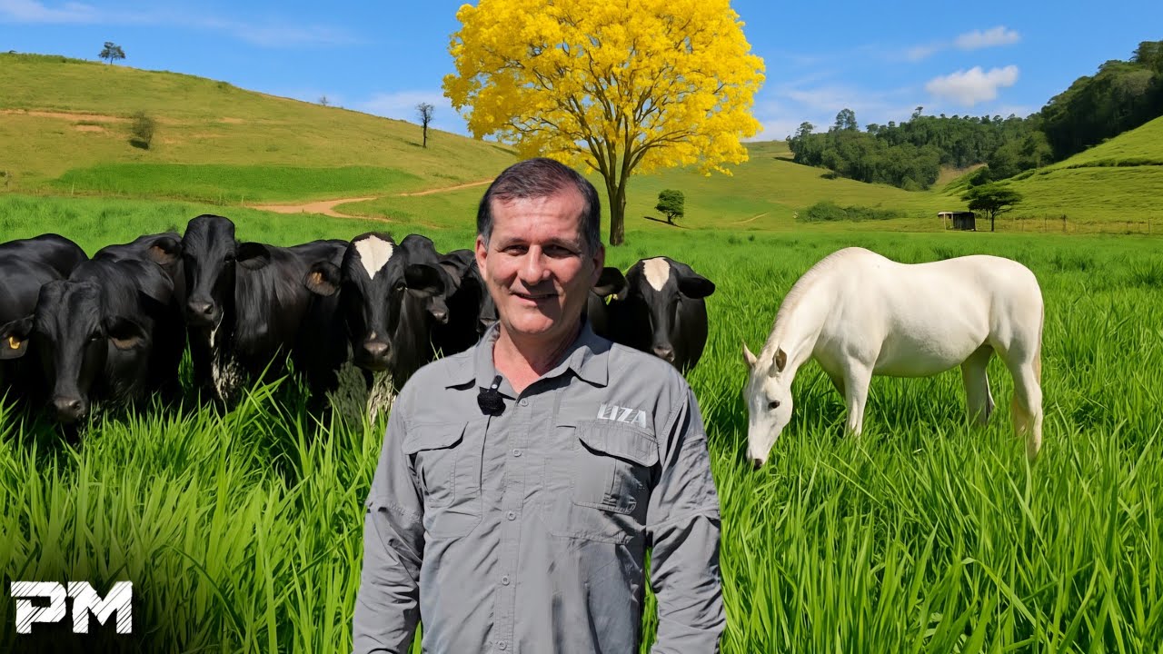 ELE CONSTRUIU UM PARAÍSO PARA AS VACAS LEITEIRAS