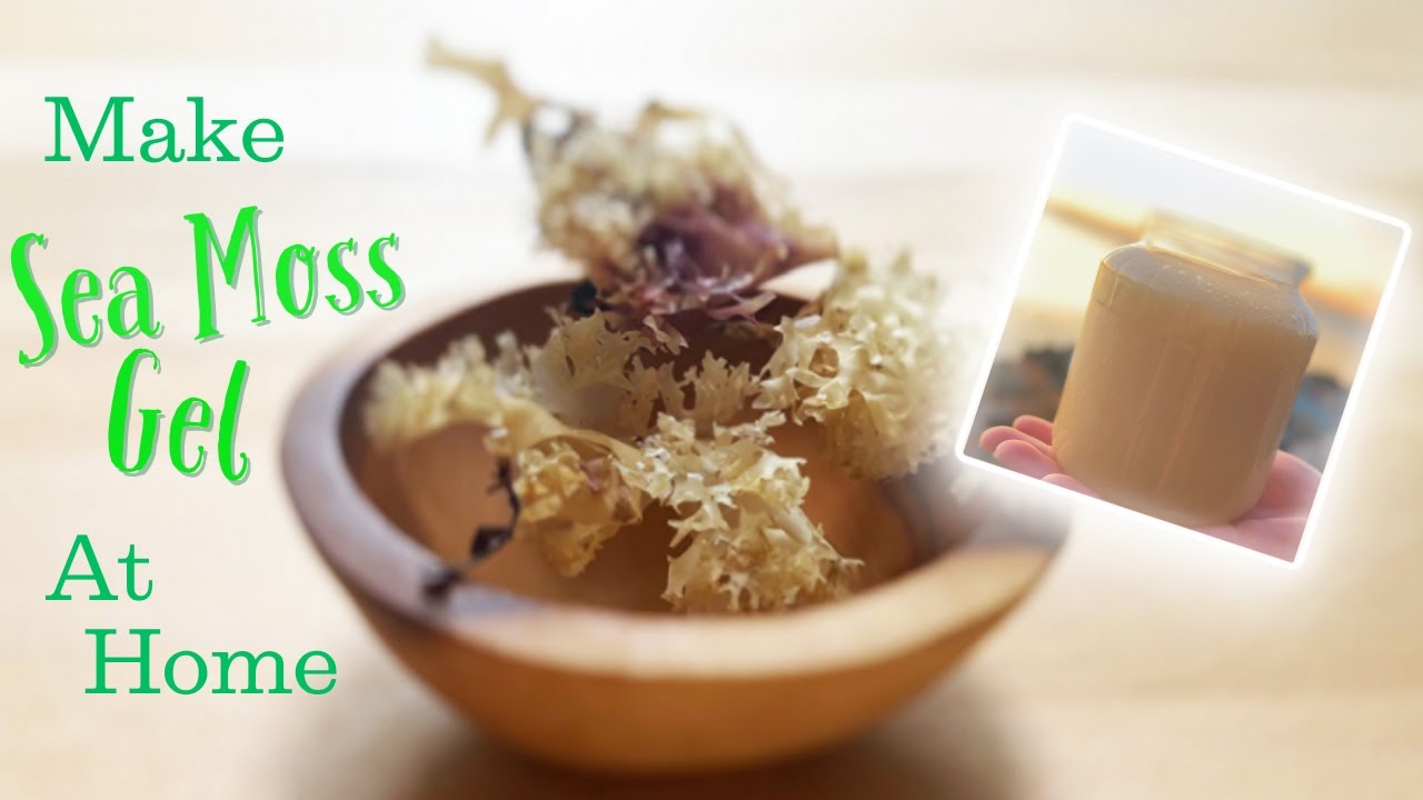 Prepare Your Own Raw Irish Sea Moss Make Perfect Gel EVERY TIME YouTube Prepare Your Own Raw Irish Sea Moss Make Perfect Gel EVERY TIME YouTube
