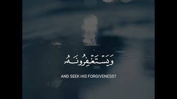 أفلا يتوبون إلى الله ويستغفرونه والله  غفور رحيم القارئ عبدالرحمن مسعد