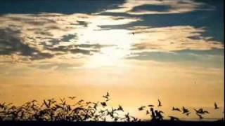 Australia Day 2011 Tvc - Celebrate Today And Live It Again Tomorrow