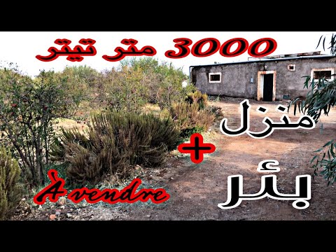 ارض للبيع تيتر نواحي مراكش (ثم البيع )