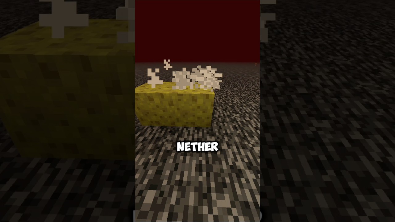 Did you know this about sponges in Minecraft?