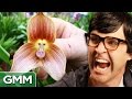 Scariest Plants on Earth