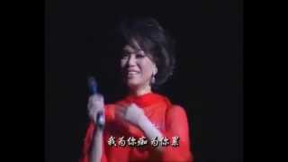 Video thumbnail of "2003年 蔡琴 費玉清 演唱會(南屏晚鐘,模仿,一剪梅)"