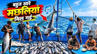 🌊 No Internet for 30Days! They Caught Giant Fish & Lived Entirely on Their Boat 🎣 | Deep Sea Fishing