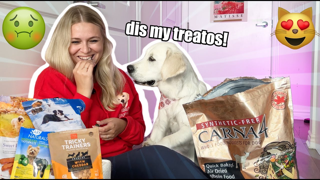 Trying My Dog's Food Challenge - Funny Reaction