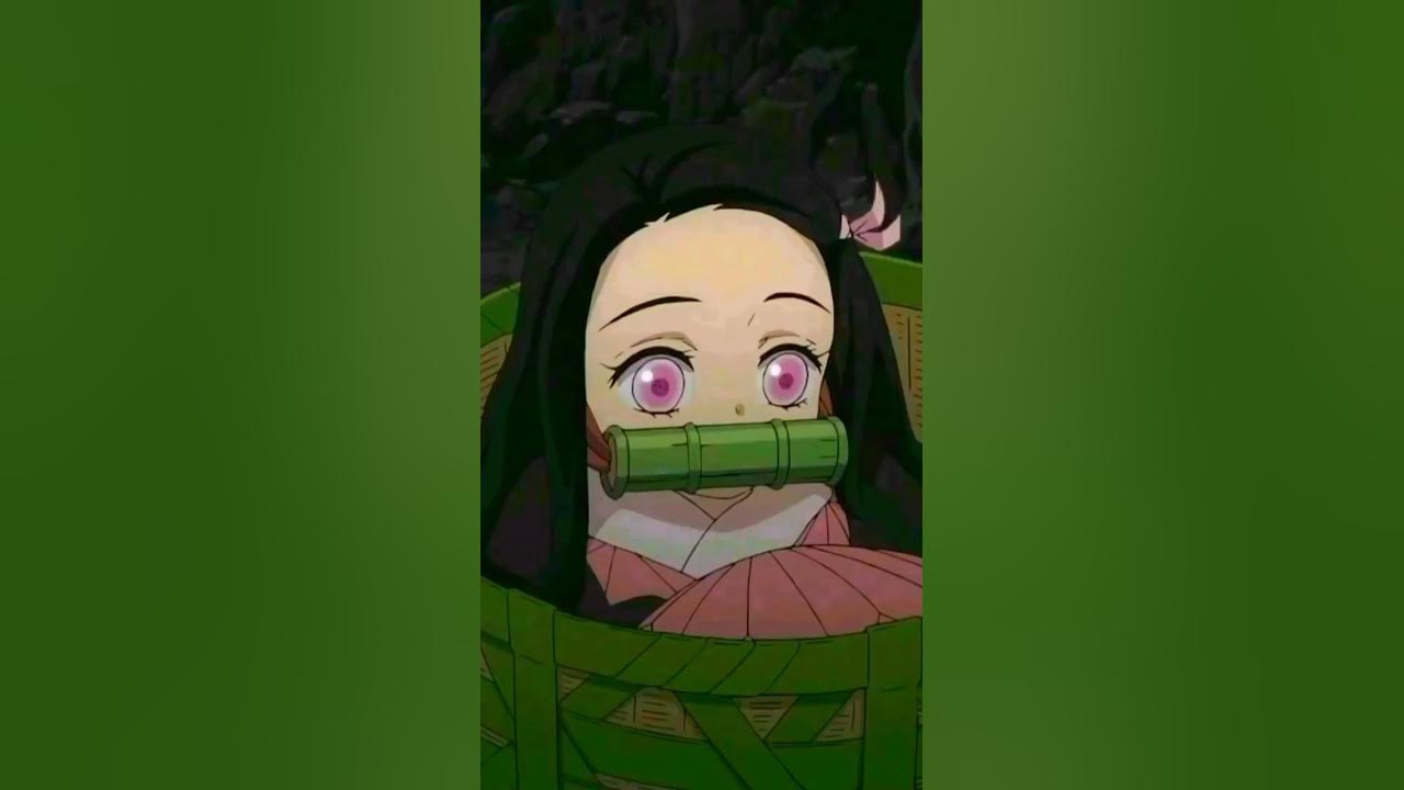 Pourquoi Nezuko A Un Bambou Dans La Bouche www.youtube.com