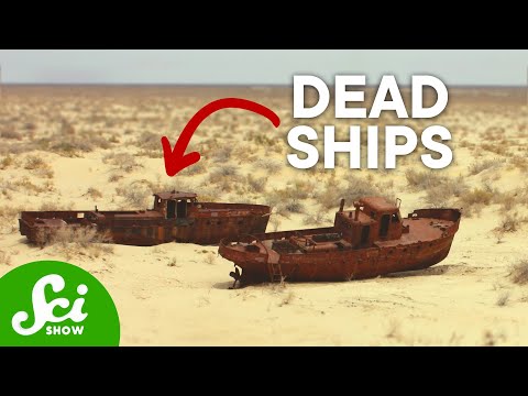 What Science Reveals about Shipwreck Graveyards thumbnail