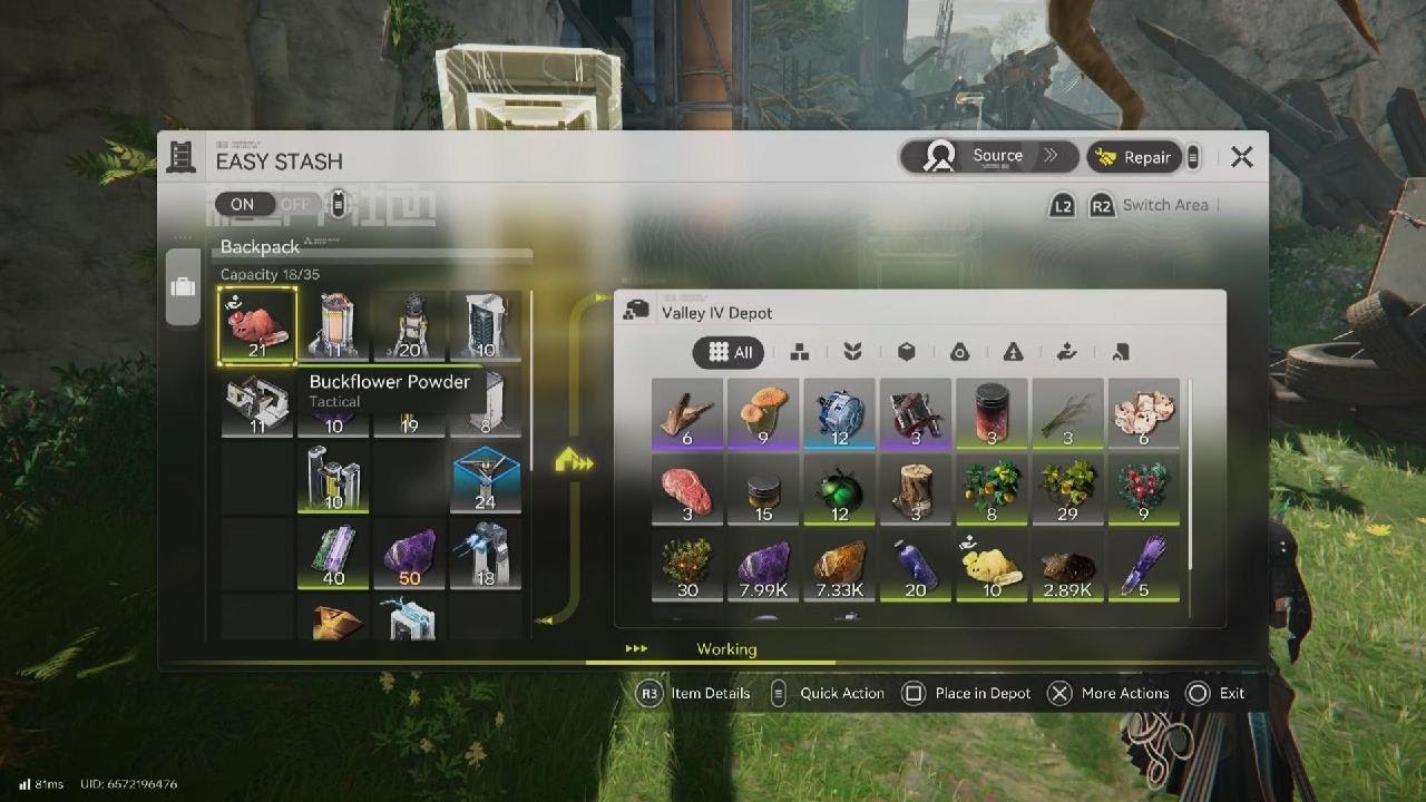 A Random Arknights Endfield Video