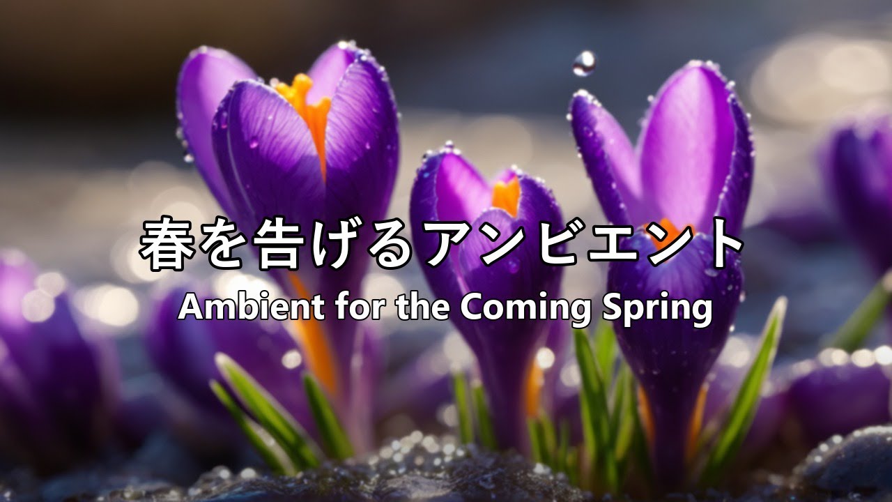 [Hopeful Ambient] | 雪を割るクロッカス BGM リラックス 春の訪れ 高音質 | Crocuses Breaking Through the Snow