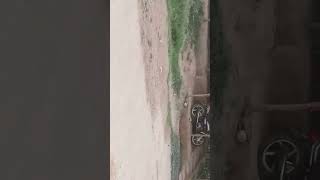 Jasvant Patel New Timli 2023_HD Express Chapter 2_HD Mixing Bharat HD 2023 New..sot video New Timli.