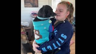 Miami Animal Rescue COVID Rescues