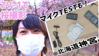 SONY VLOGCAM ZV-1で北海道神宮お花見＆マイクテスト