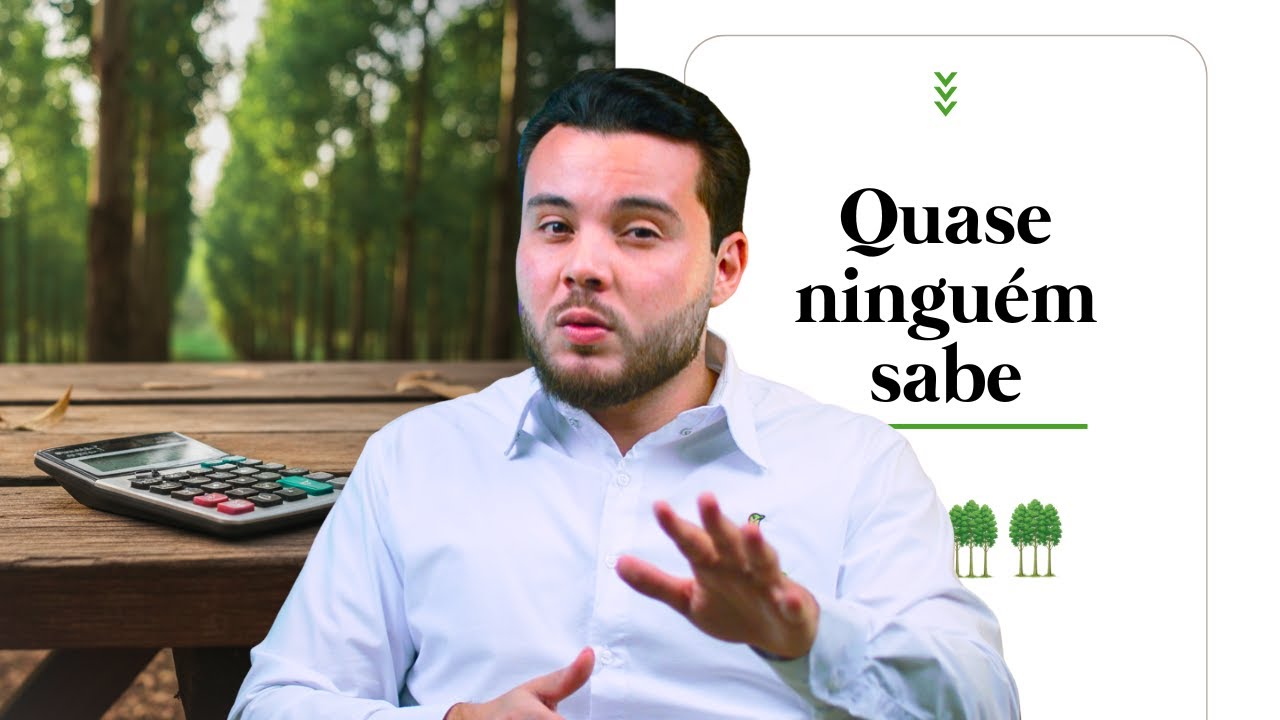 COMO FUNCIONA O IMPOSTO NO EUCALIPTO? Entenda a Tributação e as Isenções