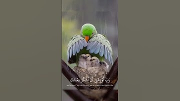 وقال رب أوزعني أن أشكر نعمتك التي أنعمت علي وعلى والدي [النمل :19] القارئ احمد العجمي