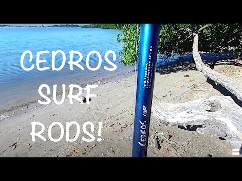 Cedros Surf Rods w/Blue & Original Azore Reels! Cedros Surf Rods w/Blue & Original Azore Reels!