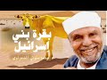 الشيخ الشعراوي حكاية بقرة بني اسرائيل الشيخ الشعراوي حكاية بقرة بني اسرائيل