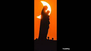 God's Creation 7 - Art of Total Solar Eclipse Worldwide + Nature of Birds。 Aug 23, 2026