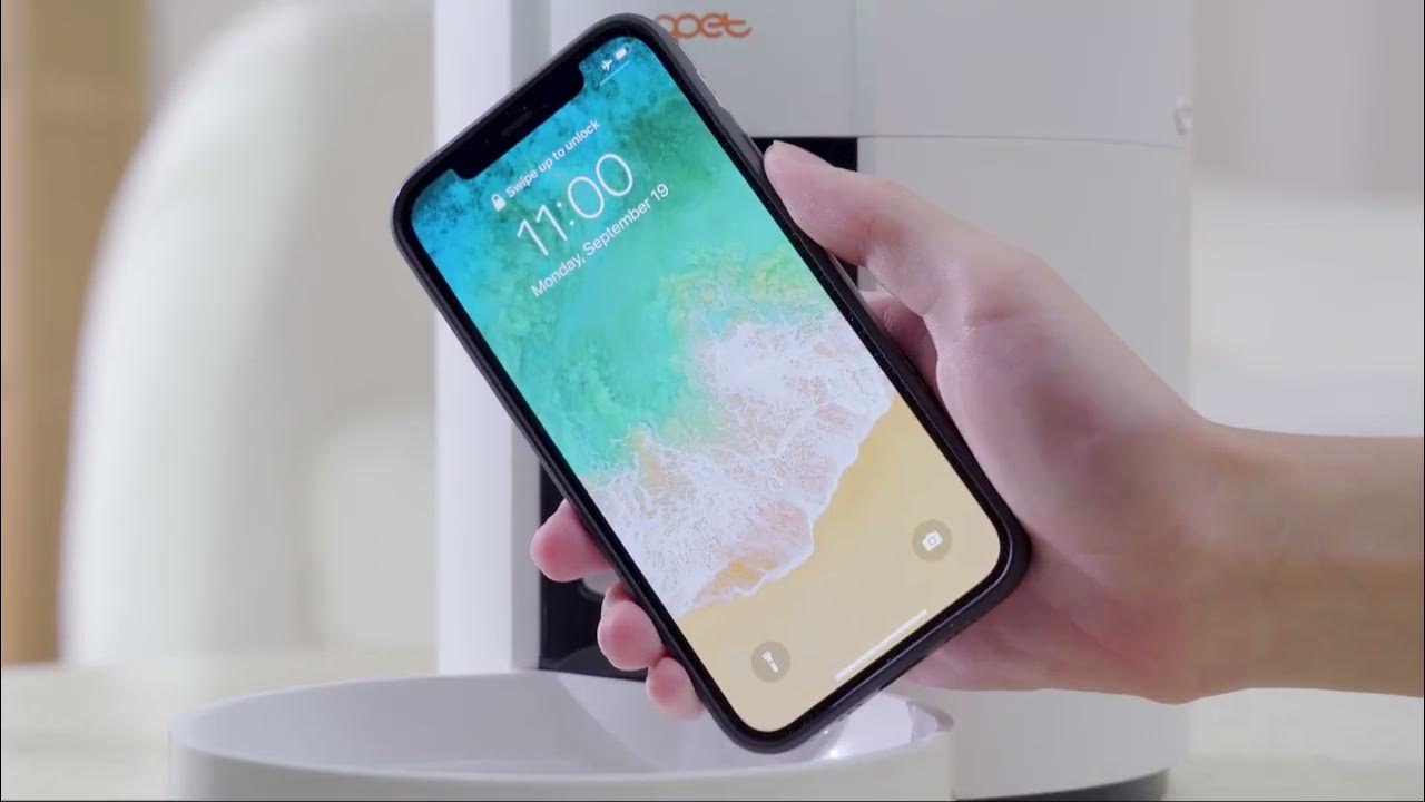 How to set up program WOPET FT70 plus & FT70 Pet Feeder YouTube