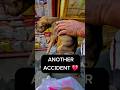 Another Street Puppy Got Hit By A Vehicle 💔