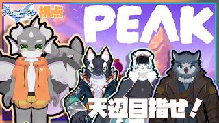 【PEAK】山地直送鮫ドラゴン#1【ケモノVTuber】