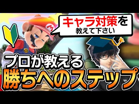 Is it really necessary to counter characters? Introducing the "Basics of Smash Bros." that beginn...