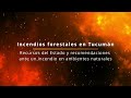 Los incendios forestales en Tucumán - III° parte