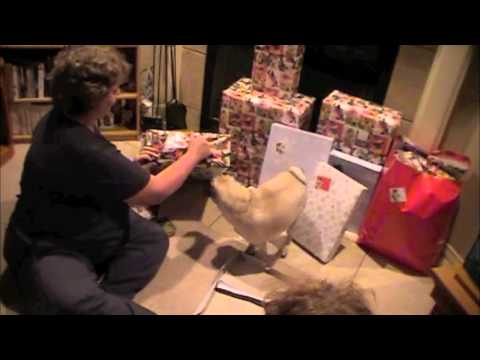 ROCHELLE'S CHRISTMAS SUPRISE