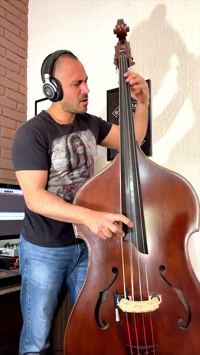 Hysteria Muse On Upright Bass
