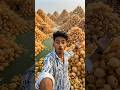 “Main Pahunch Gaya Golgappa World😱🌍| Pure Food Se Bani Duniya! #golgappa #panipuri #aivideo #shorts
