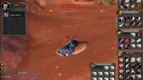 Joana doing "Hypercapacitor Gizmo" quest in Vanilla WoW