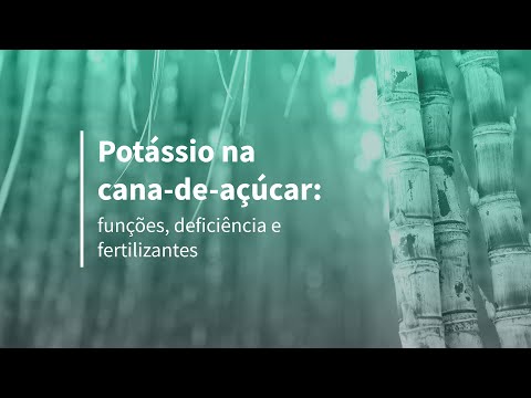 Vídeo: Requerimentos Nutricionais da Cana-de-Açúcar: Saiba mais sobre a fertilização de plantas de cana-de-açúcar