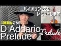 【バイオリン弦レビュー】D'Addario -Prelude-