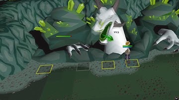 Runeliteplus Raids plugin