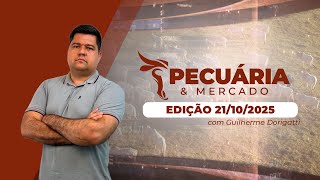 Indicadores do boi entre R$ 307,00 e R$ 311,00 e preços futuros no campo misto da B3