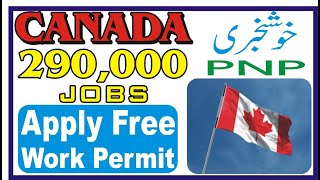 Canada Jobs 290,000 | Canada Work Permit | Get Free Jobs and Work In Canada | Latest Canada Update