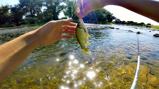 Pecanje Na Plovak Na Zapadnoj Moravi