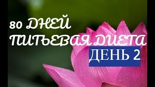 ОХУДЕВШАЯ-2 день из 80/питьевая диета без мучений ОХУДЕВШАЯ-2 день из 80/питьевая диета без мучений
