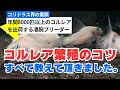 【コリドラス コルレア 繁殖方法大公開】 ついにキタ!!今まで決して語られる事のなかったコルレア繁殖のすべてを本邦初公開致します!!熱帯魚繁殖技術のすべてがここに。アクアリウムショップ ペットバルーン