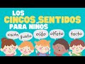 Los cinco sentidos para niños | Aprende todo sobre los 5 sentidos para niños