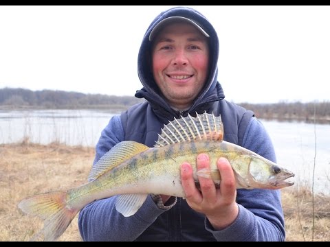 Судак на джиг. Ночная ловля судака на воблер.