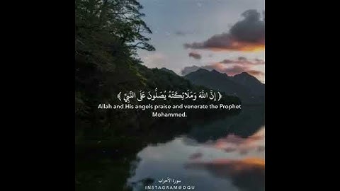 ارحوا سمعكم |قران كريم |سوره الأحزاب