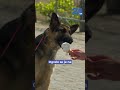 24UR | Evropo zajema zgodnji vročinski val.