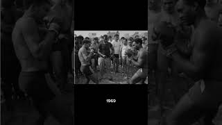 Harold Feinstein Final