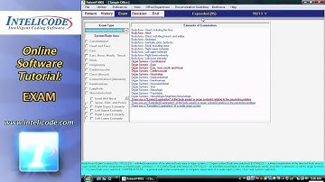 Intelicode Tutorial: Exam