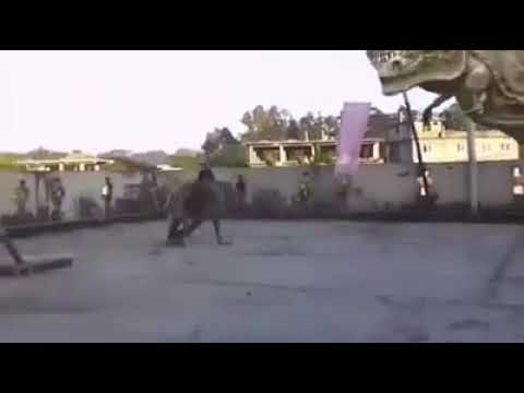 How!  Amazing video