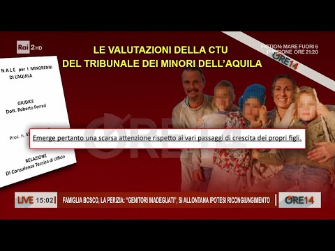 Video Famiglia nel bosco, per i periti Catherine e Nathan sono genitori inadeguati - Ore 14 del 29/04/2026